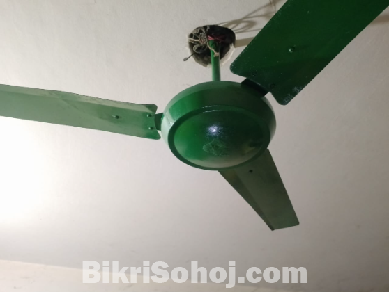 Ceiling fan